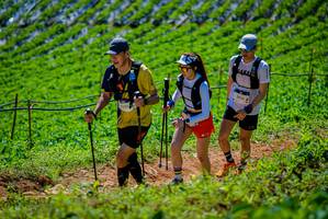 BIB: 2221, 2816
                            <button type="button" onclick="openModal(19164352)" class="btn btn-primary btn-sm float-right btn-popup" data-toggle="modal" data-target=".modal-high-quality">
                        <i class="fas fa-shopping-cart"></i> Add to Cart
                    </button>
                                            <button type="button" onclick="isThisMe(19164352, true)" class="btn btn-success btn-sm float-right btn-popup btn-isme hidden" data-toggle="tooltip" data-placement="bottom" title="นี่คือรูปของคุณใช่ไหม คลิกที่นี่เพื่อเอาเข้าอัลบั้ม">
                        <i class="fas fa-plus"></i> Add to album
                    </button>
                    <button type="button" onclick="isThisMe(19164352, false)" class="btn btn-warning btn-sm float-right btn-popup btn-isnotme hidden">
                        <i class="fas fa-ban"></i> Remove from album
                    </button>